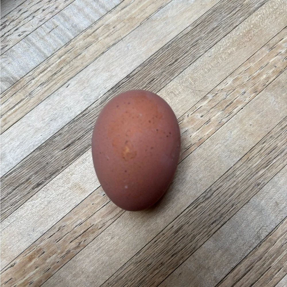 Hatching eggs 🪺 - Picture 10 of 15